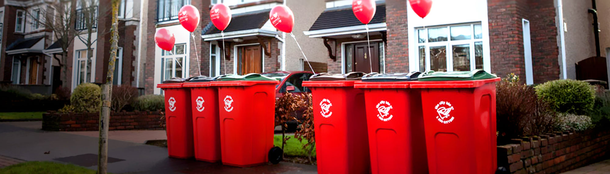 Home The City Bin Co. The Best Waste Management Company