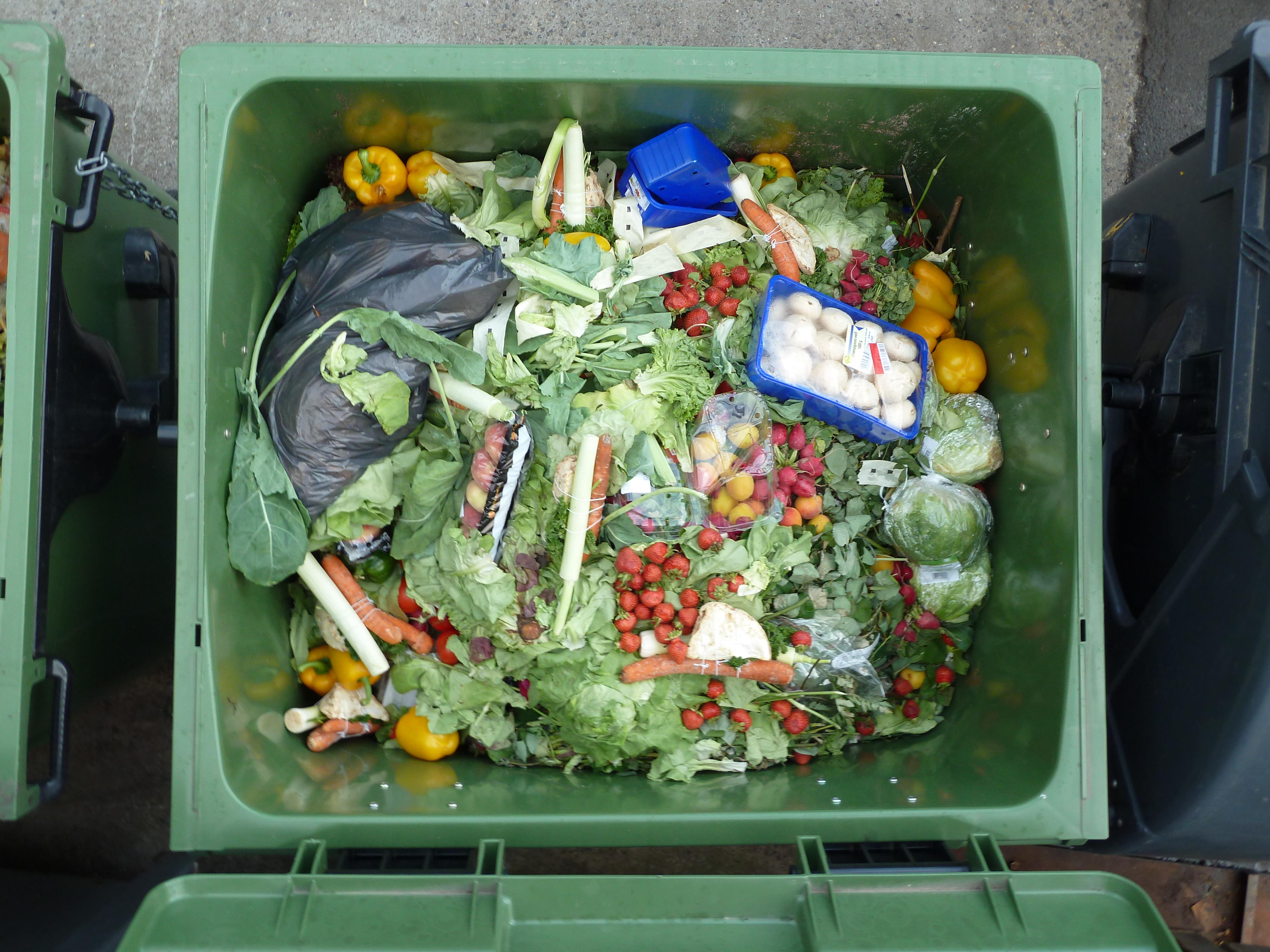 food waste