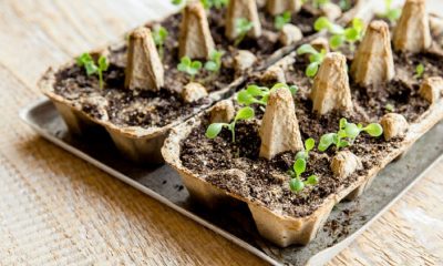 Our Guide to Repurposing Old Household Items – 7 Upcycling Ideas