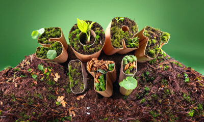 Let’s Sort It! & Compost Our Food Waste